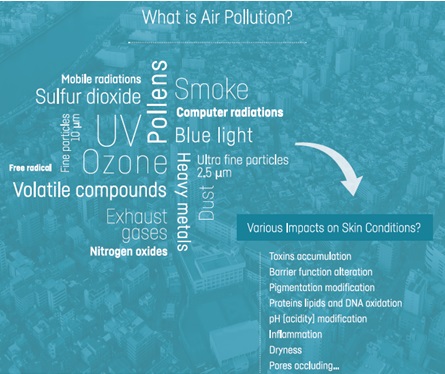 Impact of Air-pollution on Skin