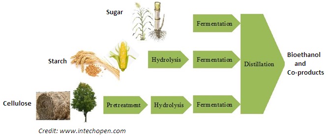 Bioethanol Production from Biomass